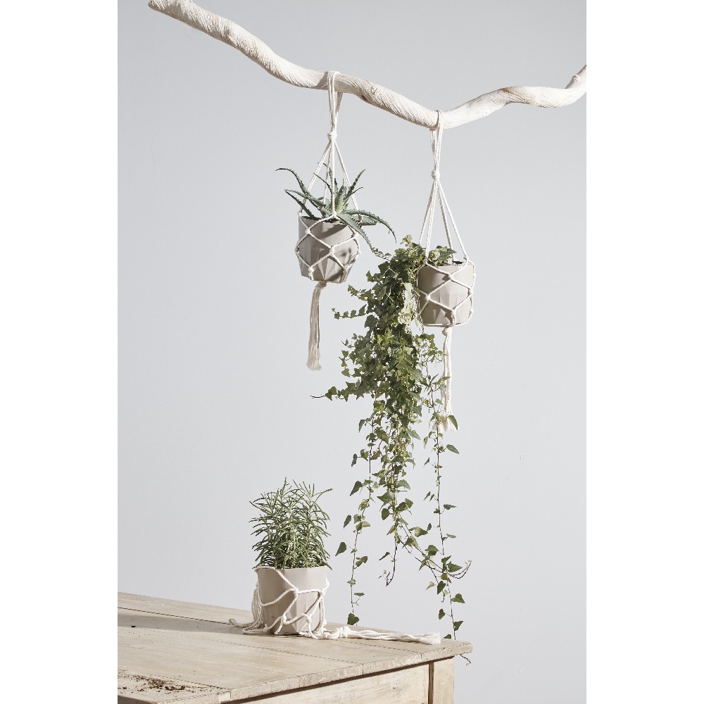 KONOP-VARESE PER VAZO LULESH NGA PAMBUKU D14.7X12.8