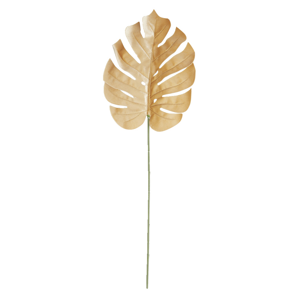 BIME ME DEGE MONSTERA E VERDHE L26X2 -  2 MODELE