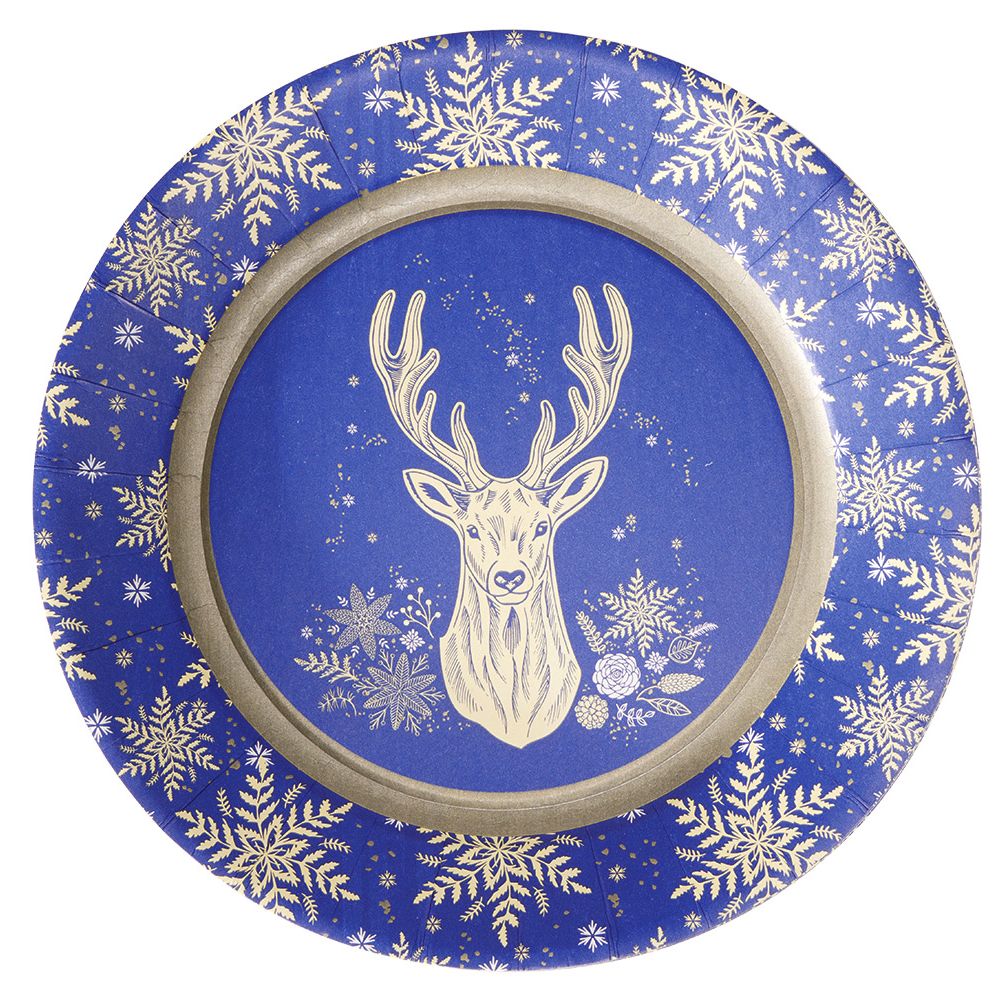 PJATE NJEPERDORIMSHE X10 D23