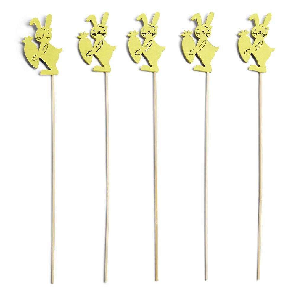 SHKOPINJE ME DEKORE LEPURI X5