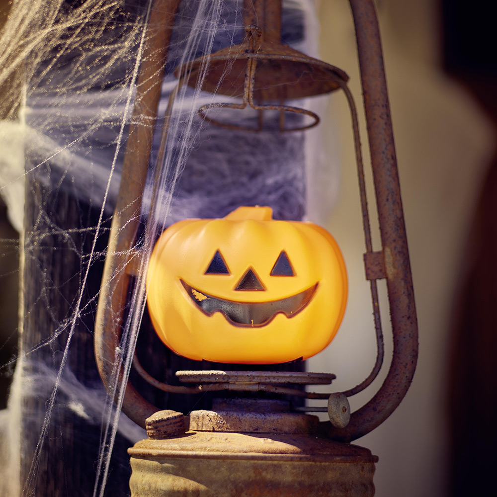 ARTIKUJ FESTIV:DEKOR PER HALLOWEEN KUNGULL L12X12X10