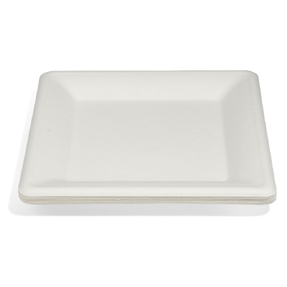 Set of 12 square sugarcane dinner plates