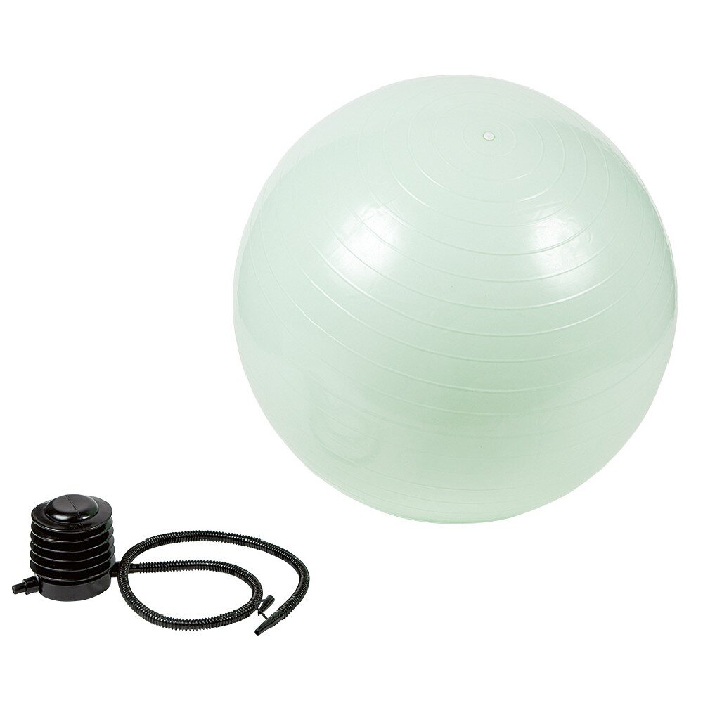 JOGA BALL+POMPA PVC D65 GY