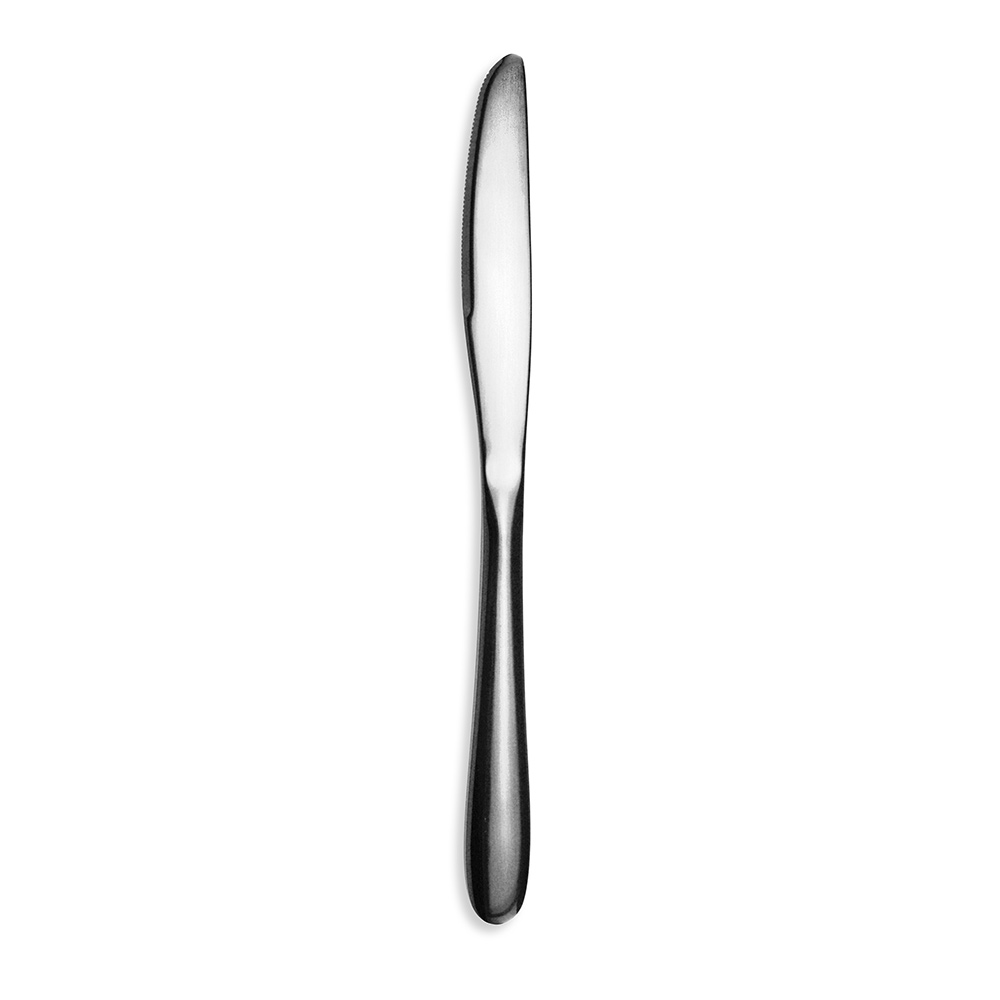 Bagatelle stainless steel knife with mirror finish