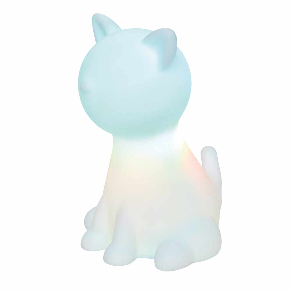 DRITA E NATËS CAT LED PVC D13.7