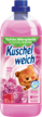 KUSCHELWEICH WSP GLUCKSMOMENT 1L (38WL) | 4013162031375