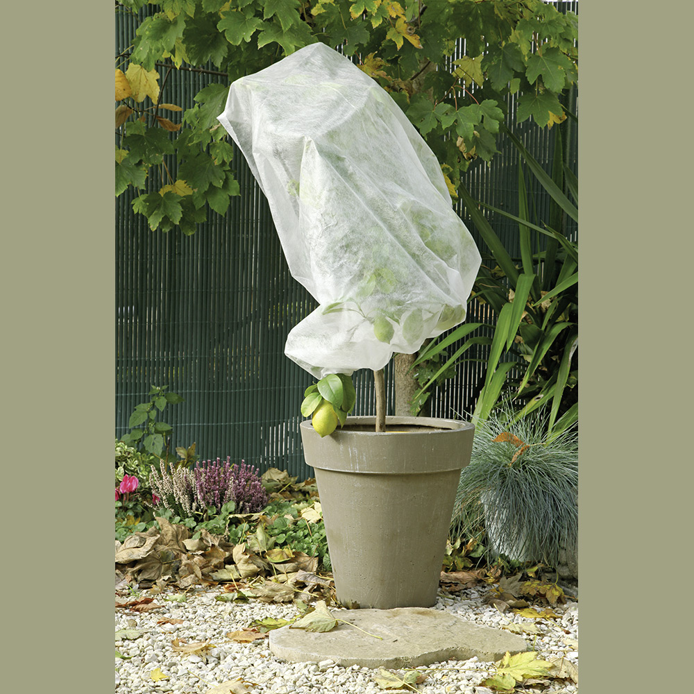 HOUSSE HIVERNAGE PP 2X10M