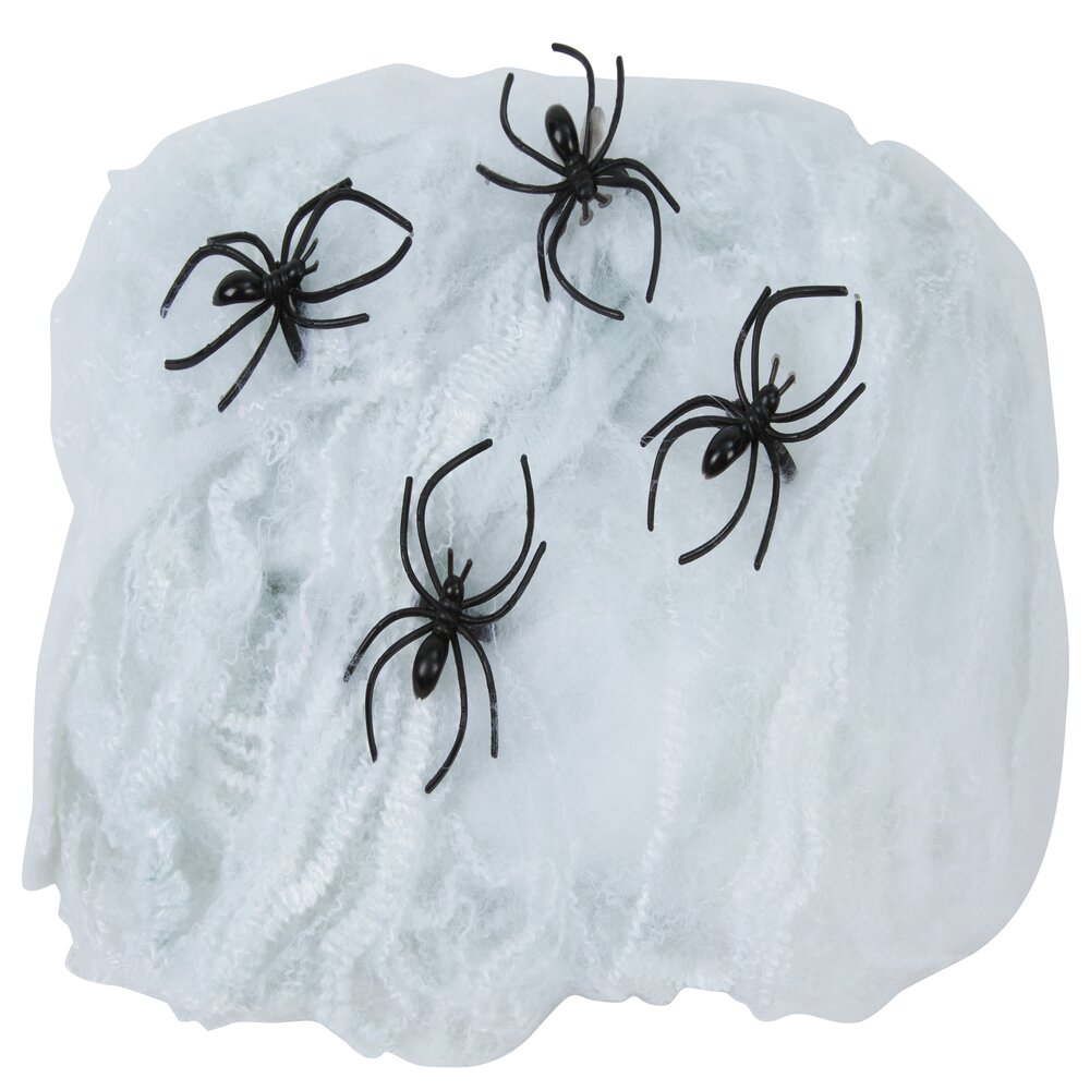 White web with 4 spiders