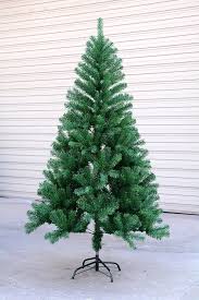 Bredh dekorativ 300cm