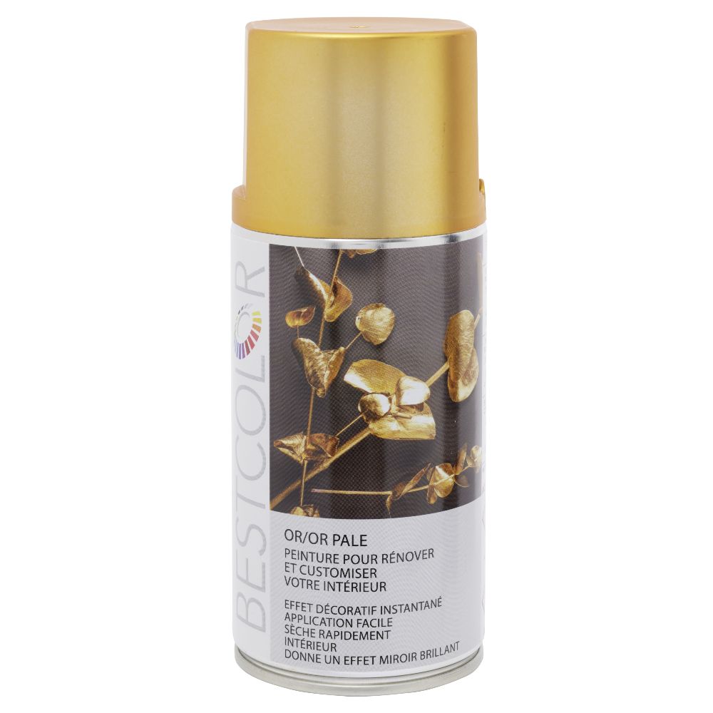 AEROSOL PEINTURE OSE RICHE