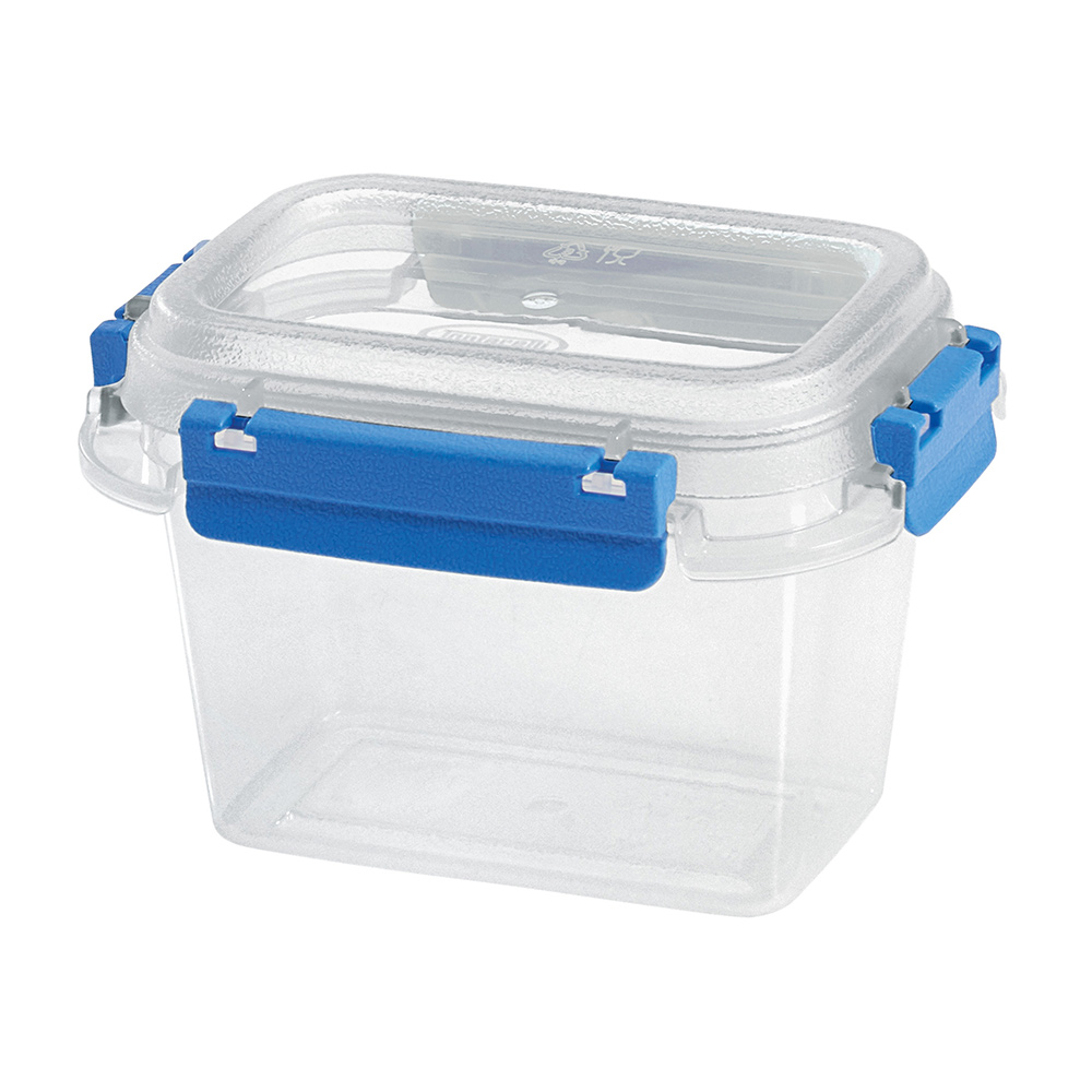 Blue and white transparent rectangular food container 0.5L