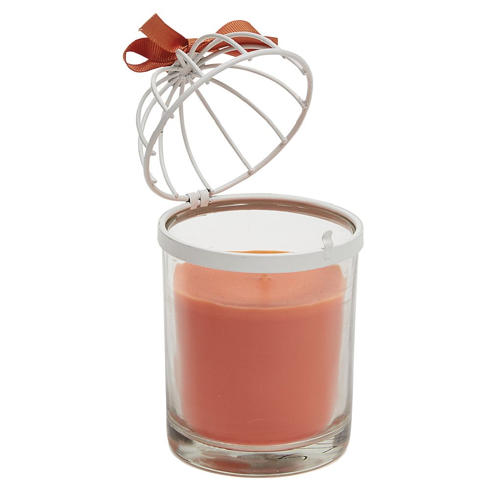 Candle in birdcage style glass