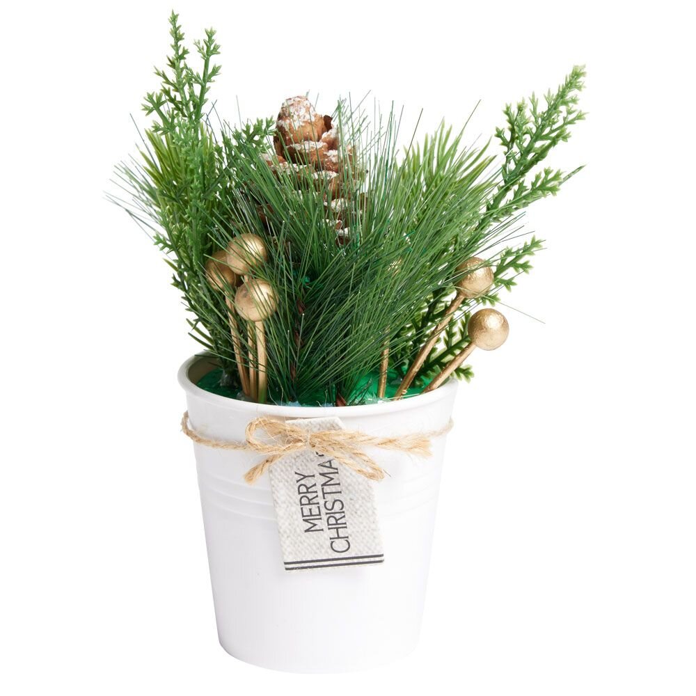 BIME DEKORATIVE ARTIFICIALE | 609493