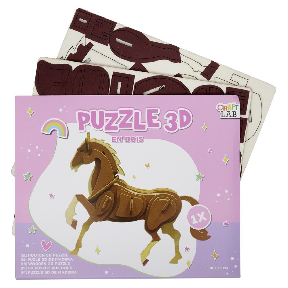 PAZZLE FILLE 3D + GARCON MULTI