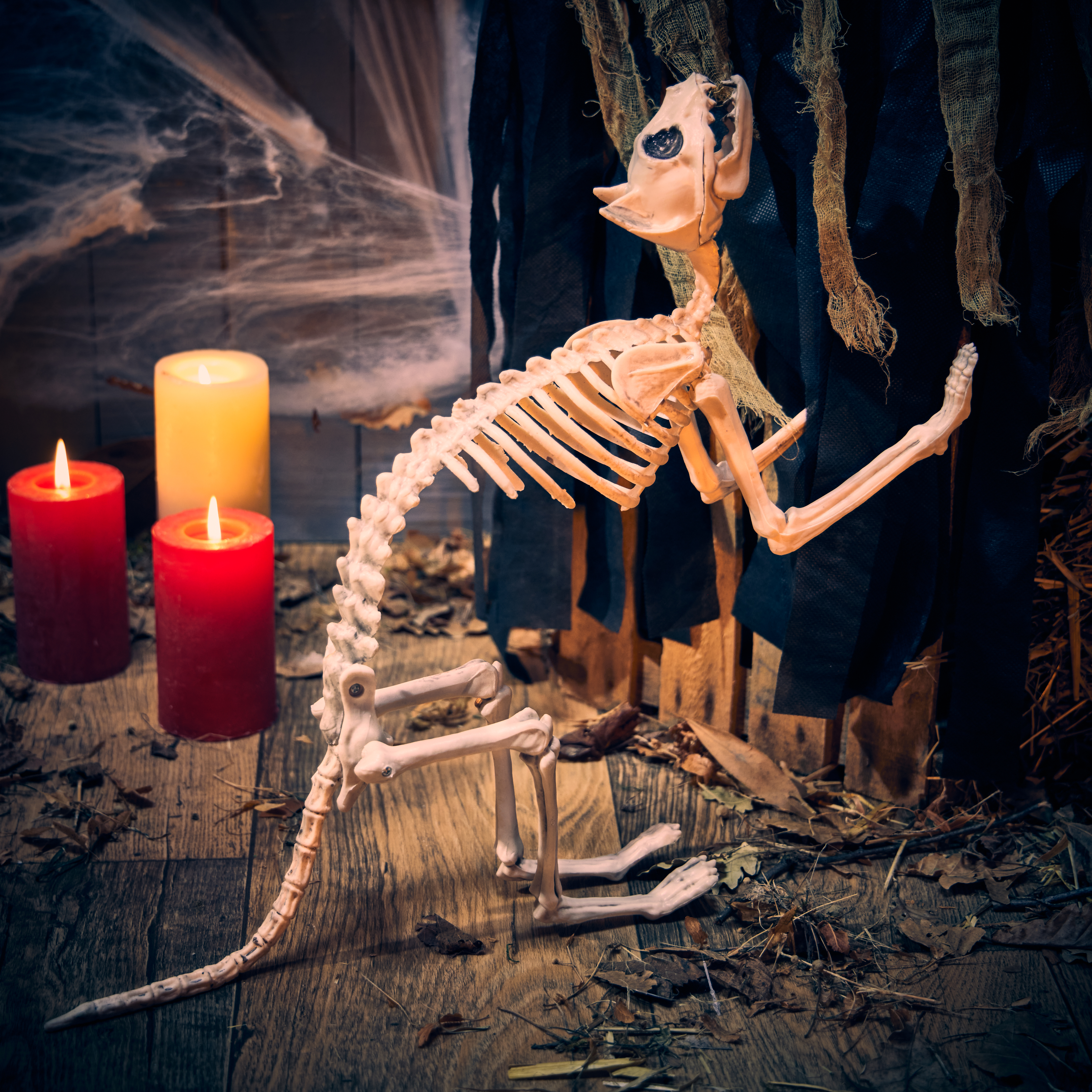 SKELET MACE PER HALLOWEEN L27X48