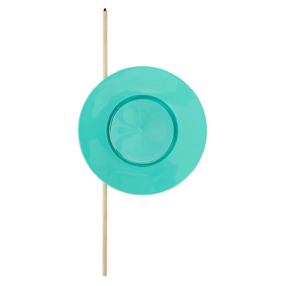 Chinese plate with wooden chopsticks