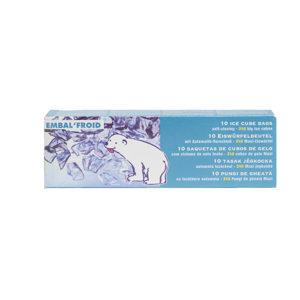 SACHET A GLACON X10