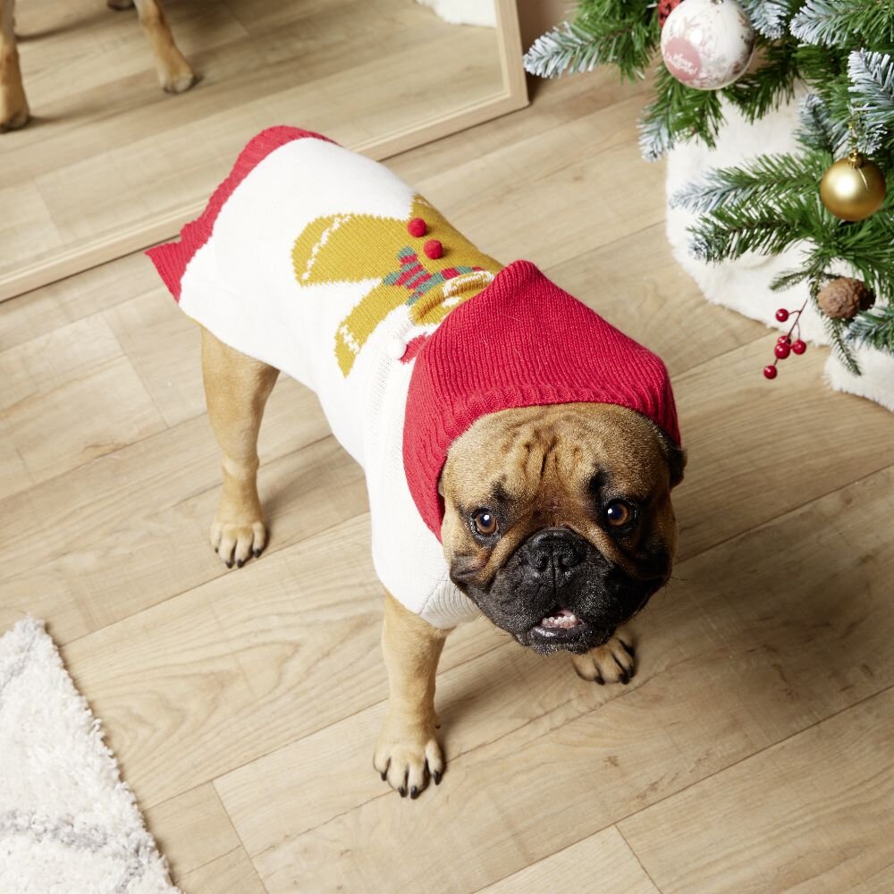 MBULESE- PALLTO NGA TEKSTILI DEKORATIVE PER KAFSHE