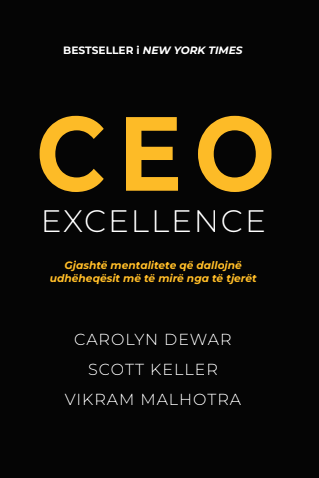 EXCELLENCE CEO