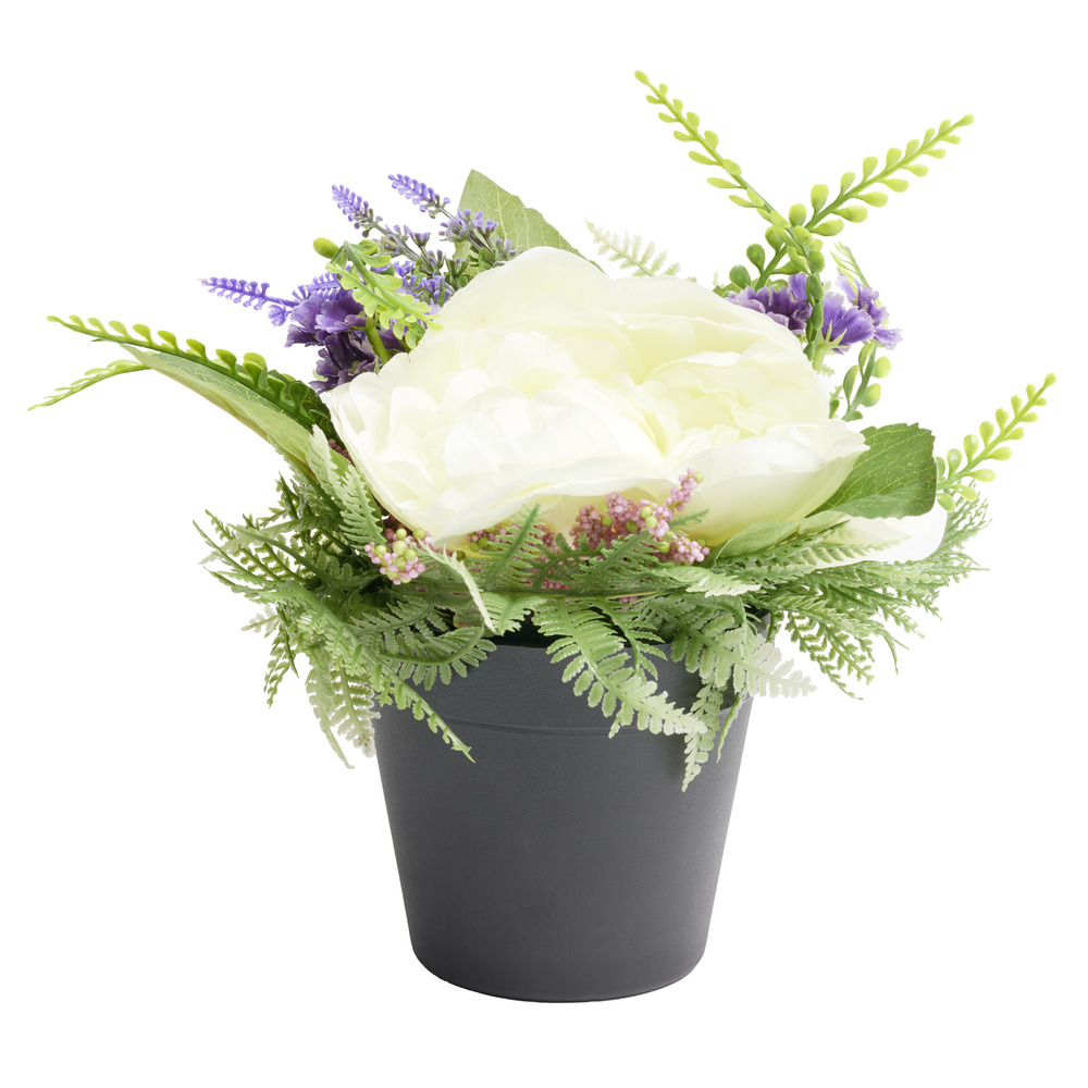 AROME PER DHOMA LAVANDER