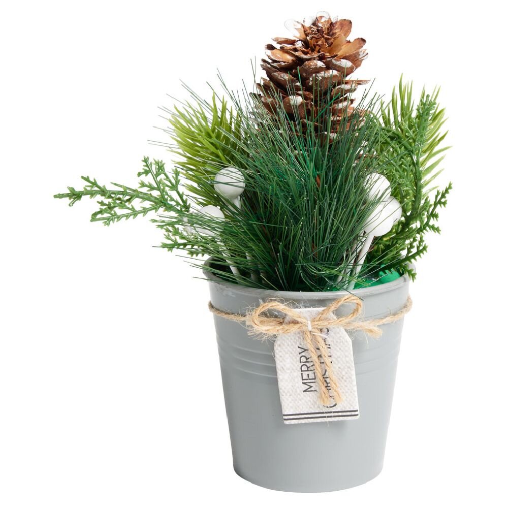 BIME DEKORATIVE ARTIFICIALE | 609492