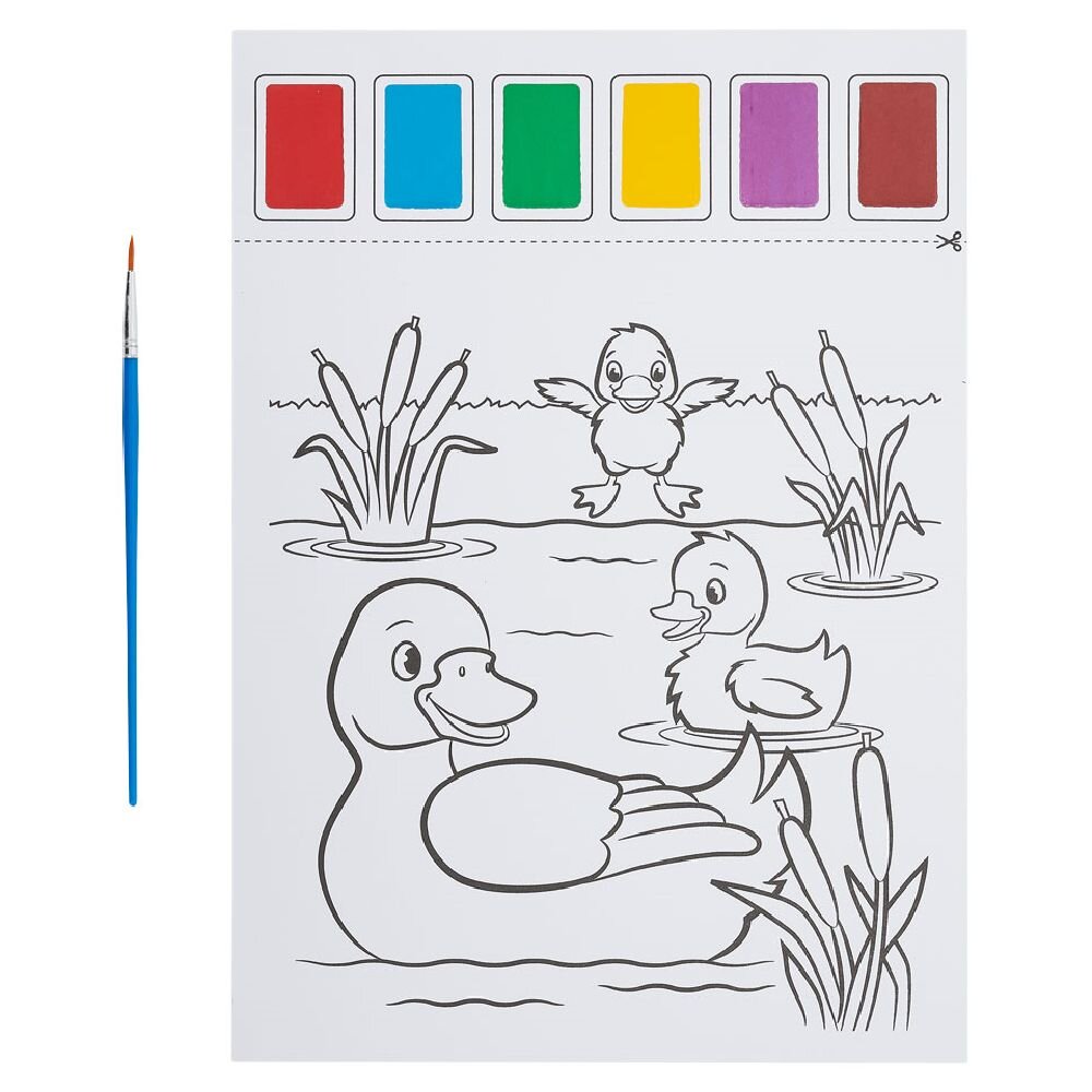 LIBER PER VIZATIM ME NGJYRA UJI 10 FAQE