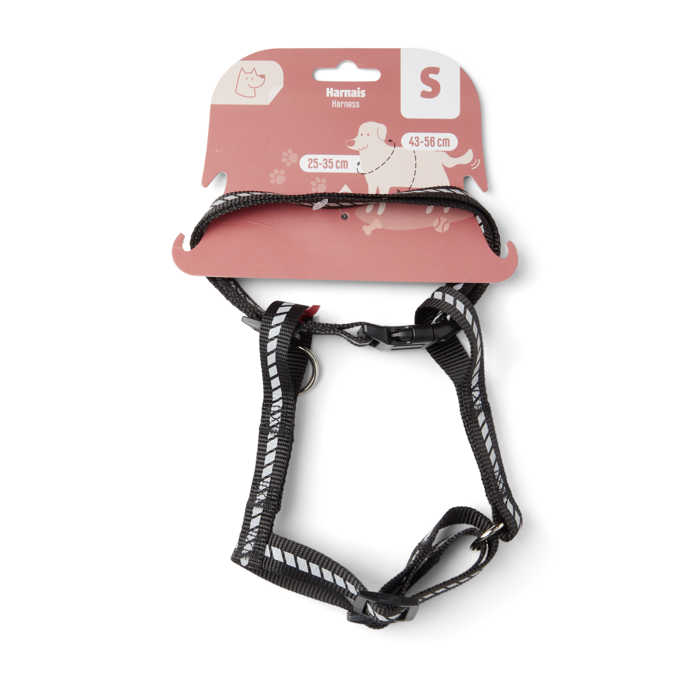 RRIP PER QEN - MADHESIA S