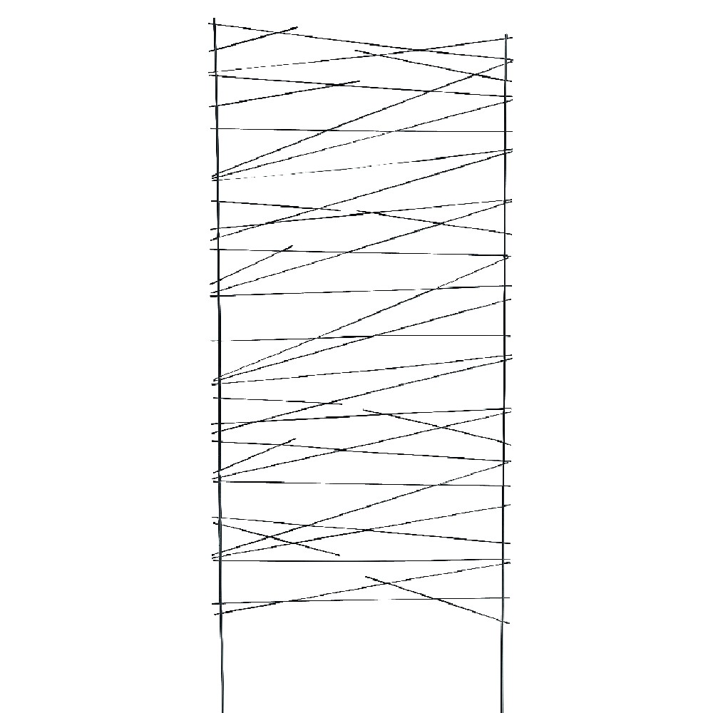 Black metal trellis barrier to plant