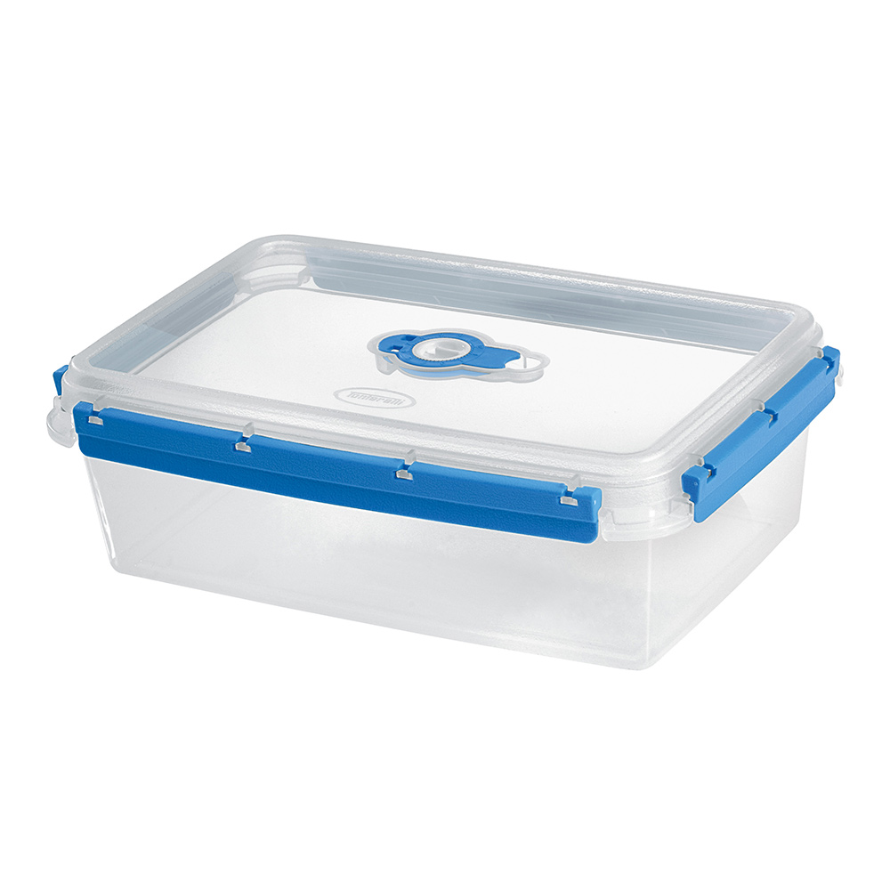 3L Blue and White Transparent Rectangular Food Container