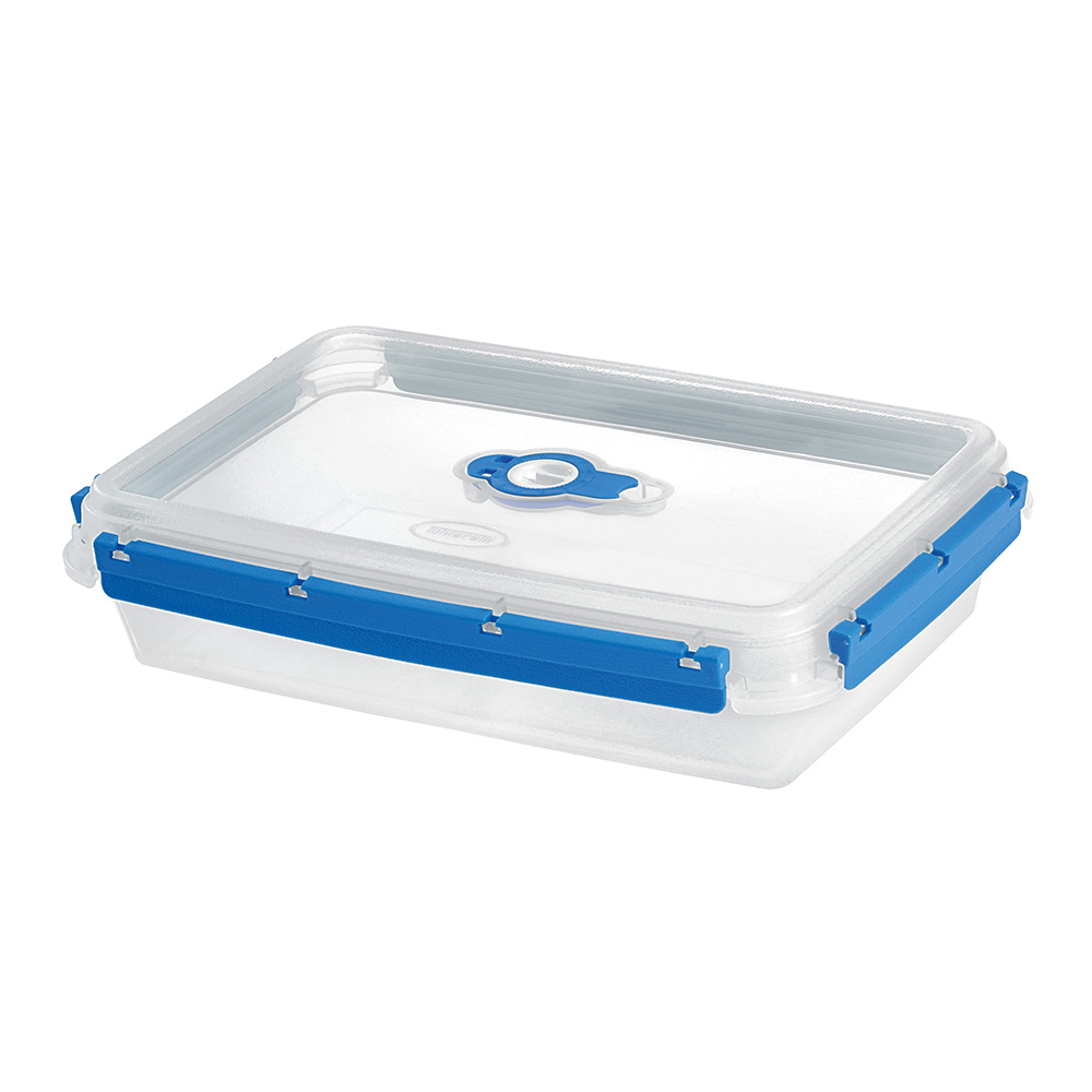 2L Blue and White Transparent Rectangular Food Container