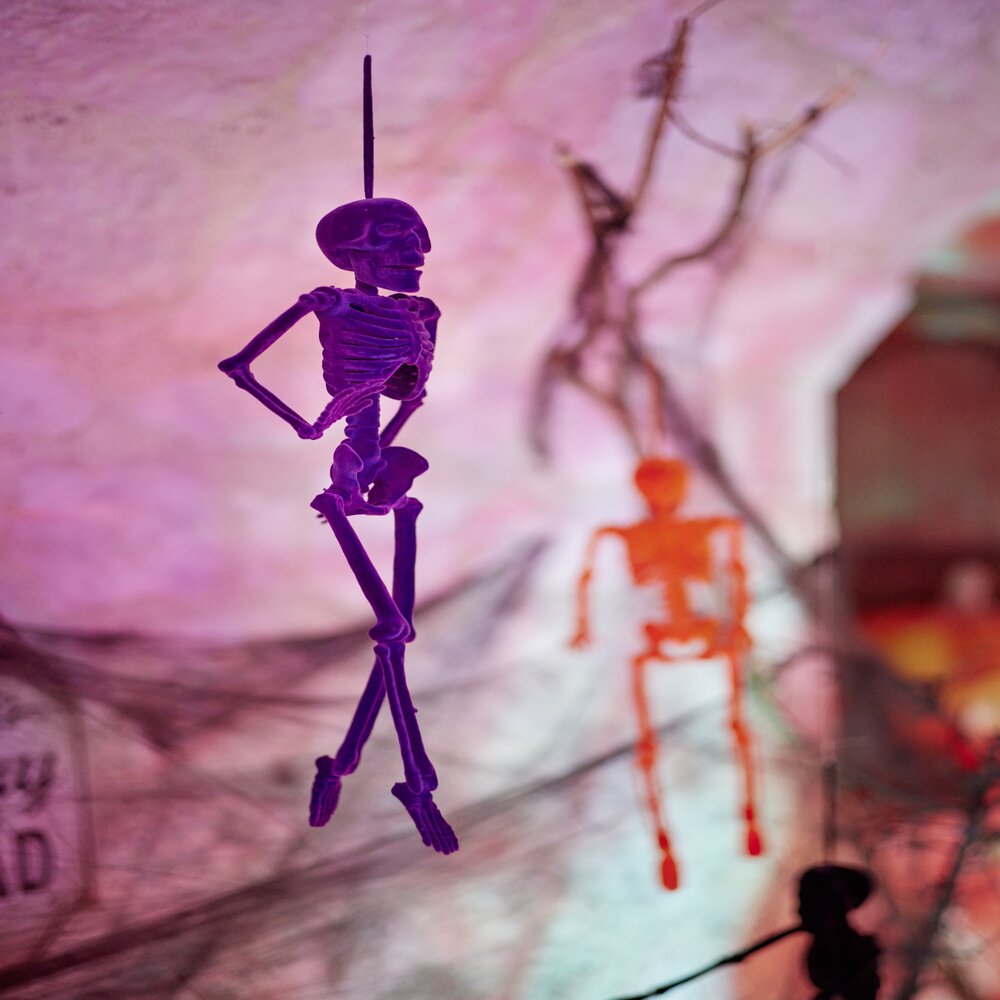 Halloween Hanging Skeleton H40cm