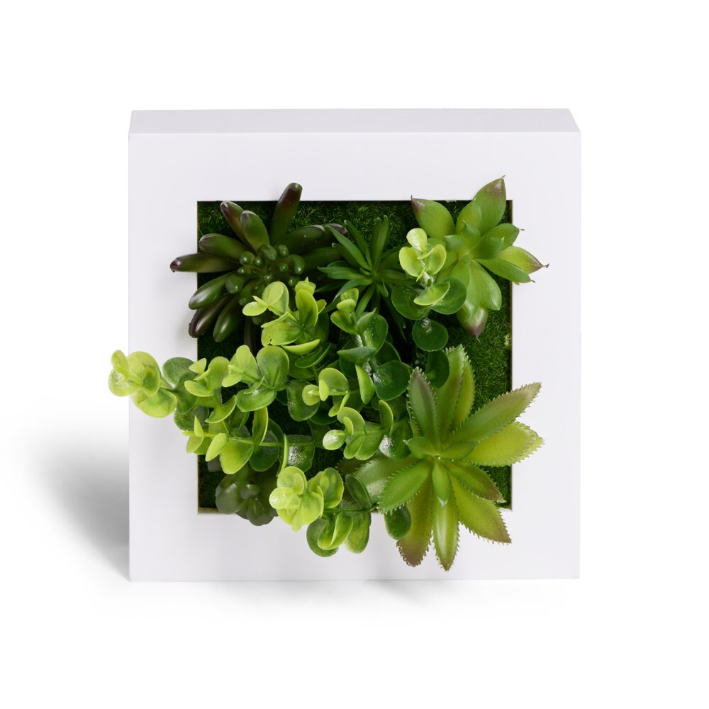 BIME ARTIFICIALE PER DEKORIM MURI NE KORNIZE DRURI 20X20CM
