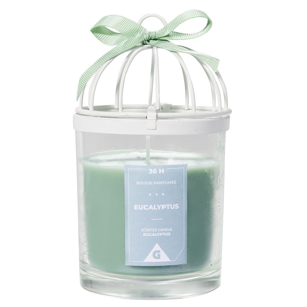 Birdcage scented candle with eucalyptus scent 36H