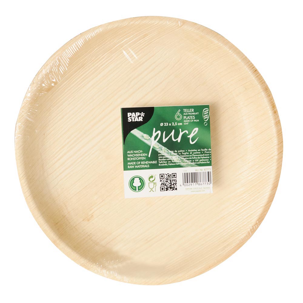 ASSIETTE X6 FEUILLE PALMIER