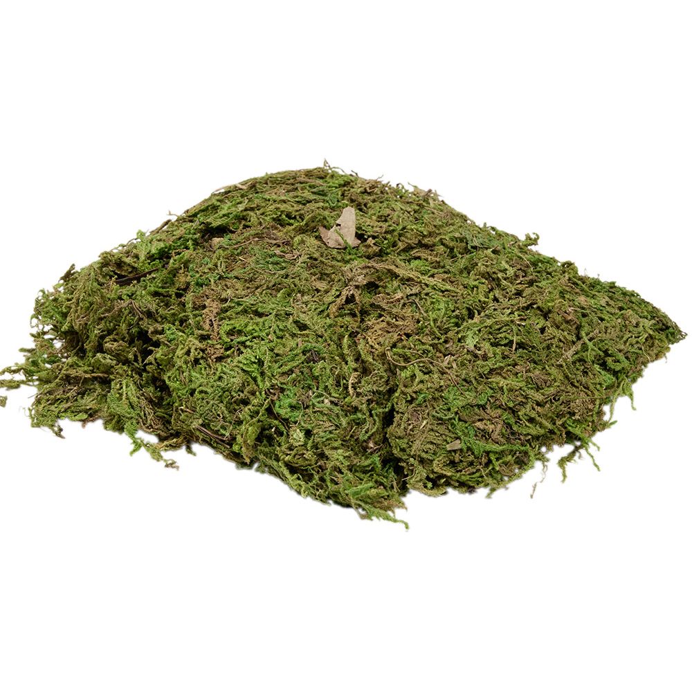 SHKUMË PËR SKENËN E LINDJES SË KRISHTLINDJES JESHILE 50G