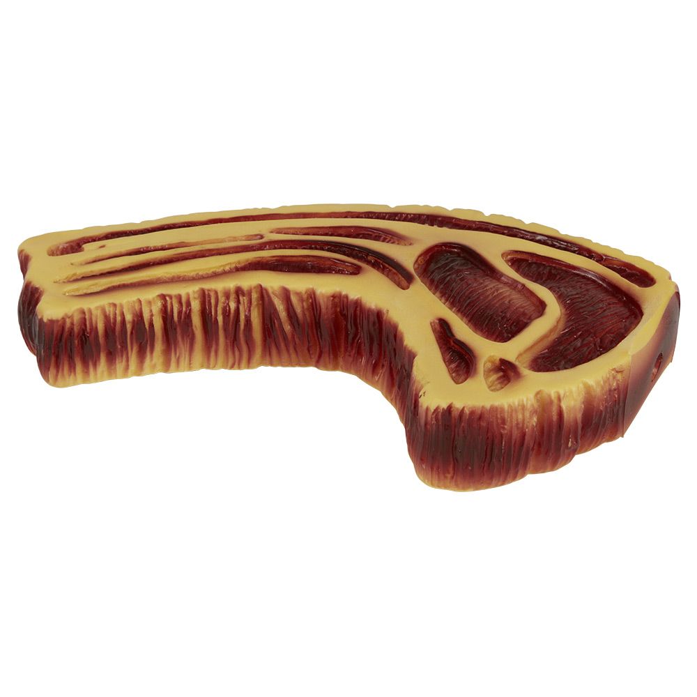 Ribeye Rubber Dog Toy | 569261