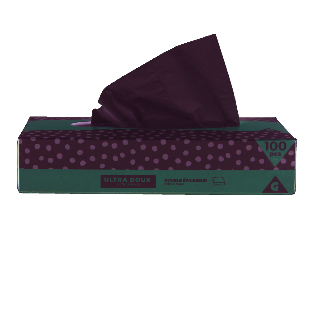 Box of 100 double-ply tissues