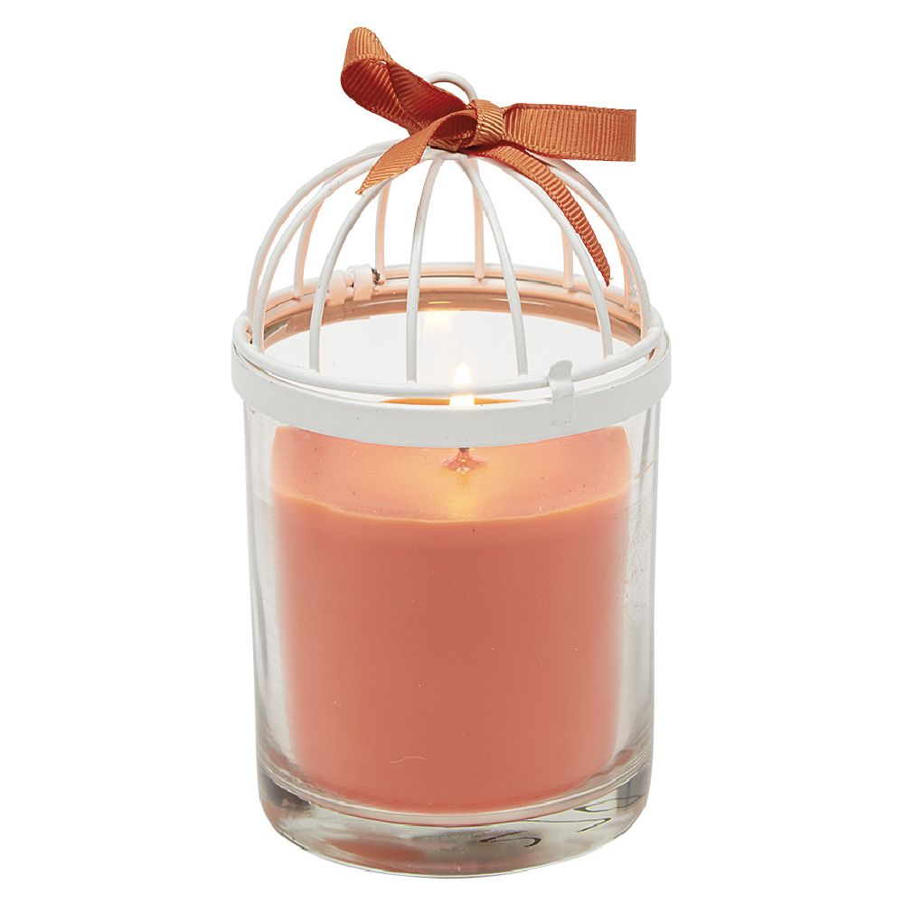 Candle in birdcage style glass