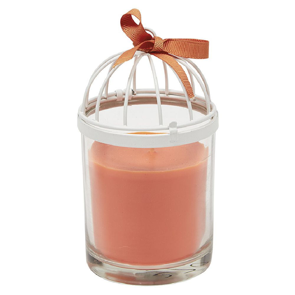 Candle in birdcage style glass