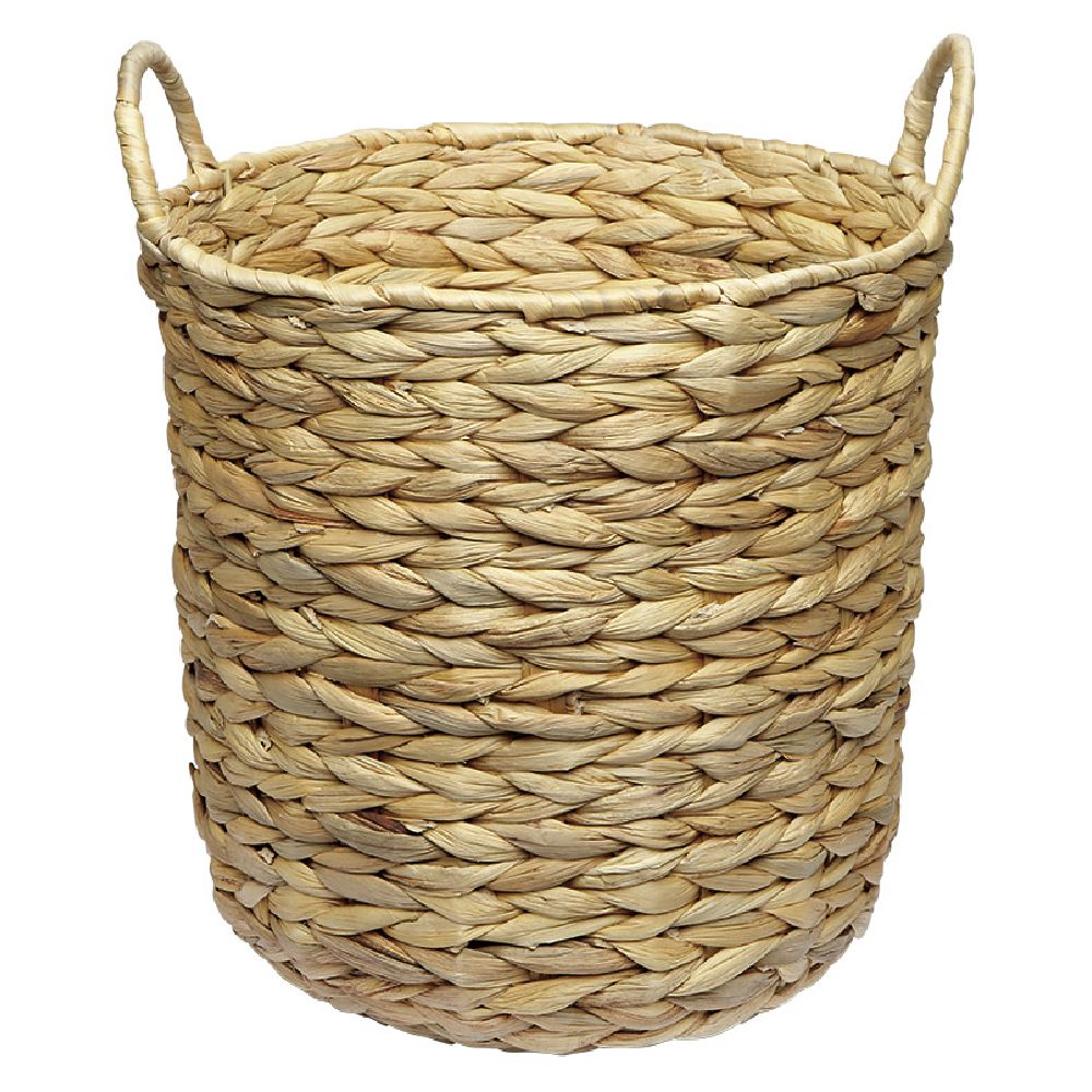 DOREZA E KOSHËS HYACINTH L | 570506