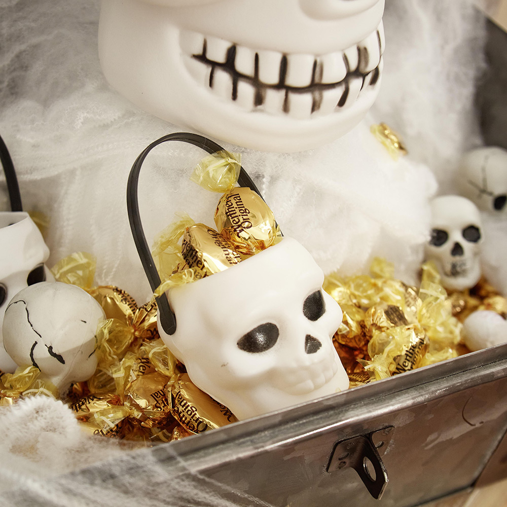 Mini skull bucket in white and black x6