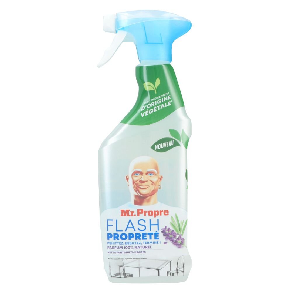 NETTOYANT MR PROPRE PISTOLET 500ML   LAV | 619849