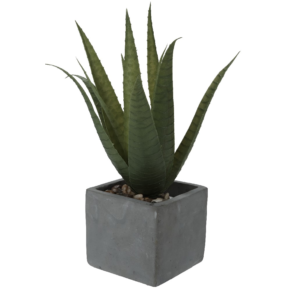 BIMË ARTIFICIALE ALOE VERA ENË ÇIMENTOJE KOLEKSION TROPIKAL