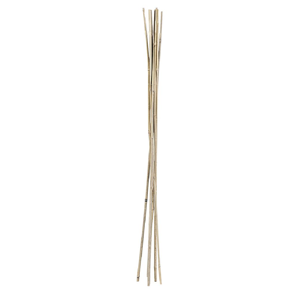 Bamboo stake Ø1.2xH120cm x8