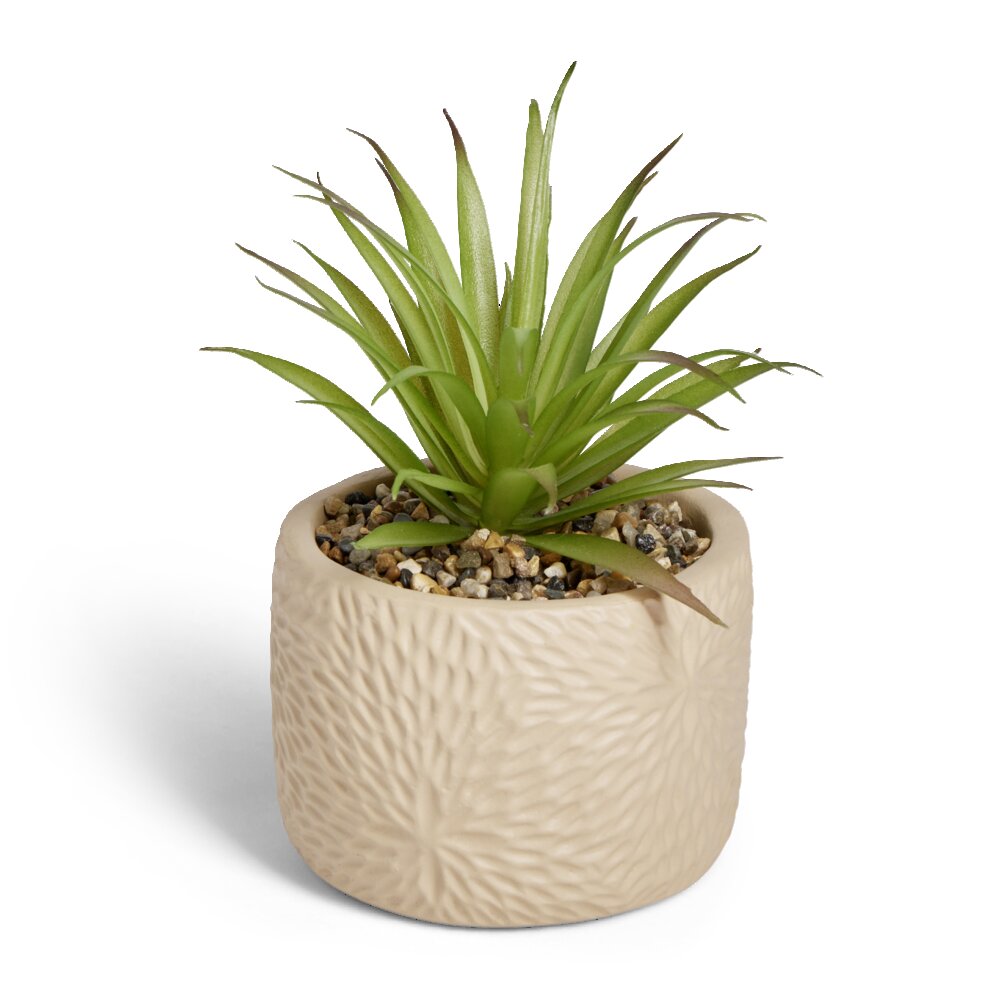 BIME DEKORATIVE ME VAZO D10XH17