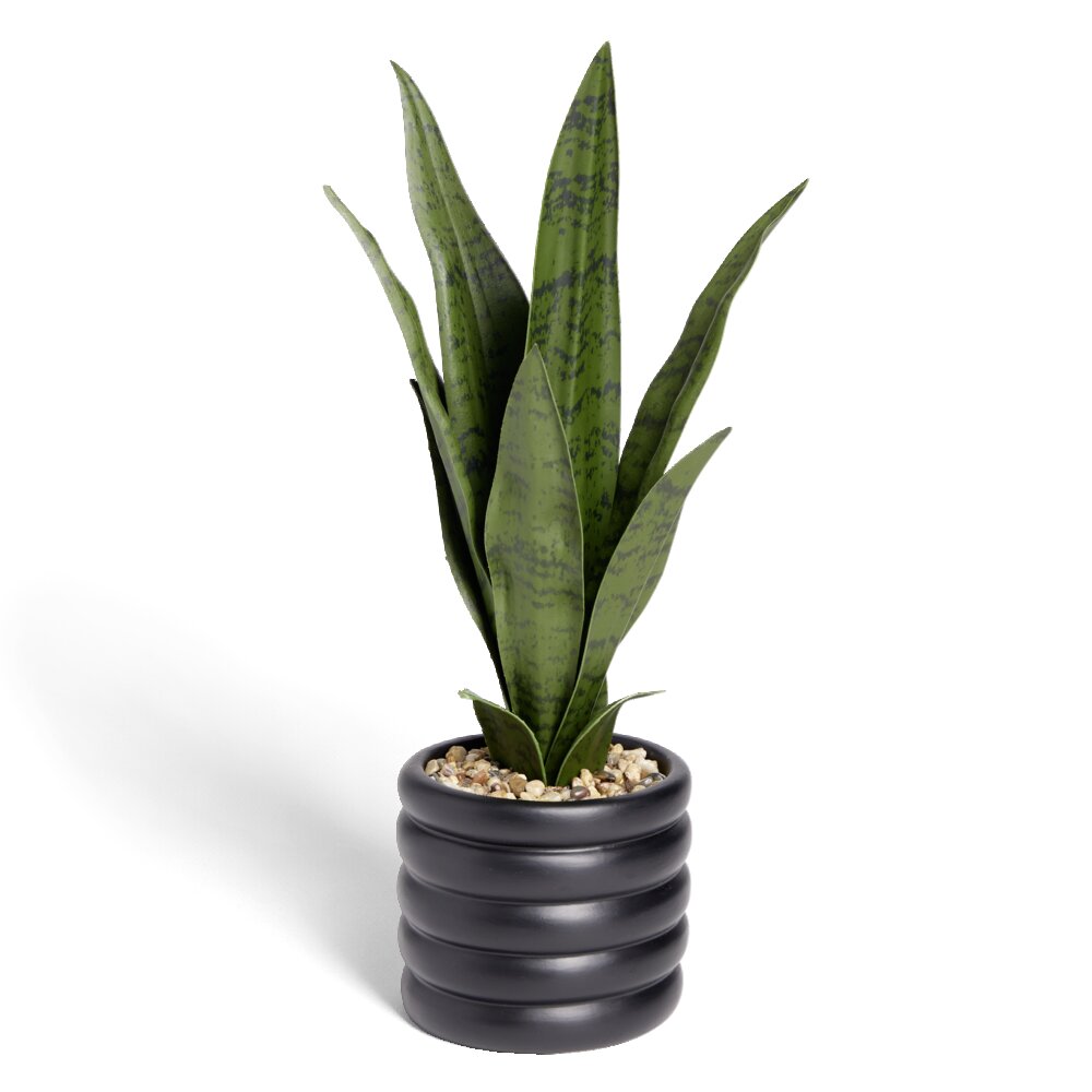 BIME DEKORATIVE ME VAZO D12XH28