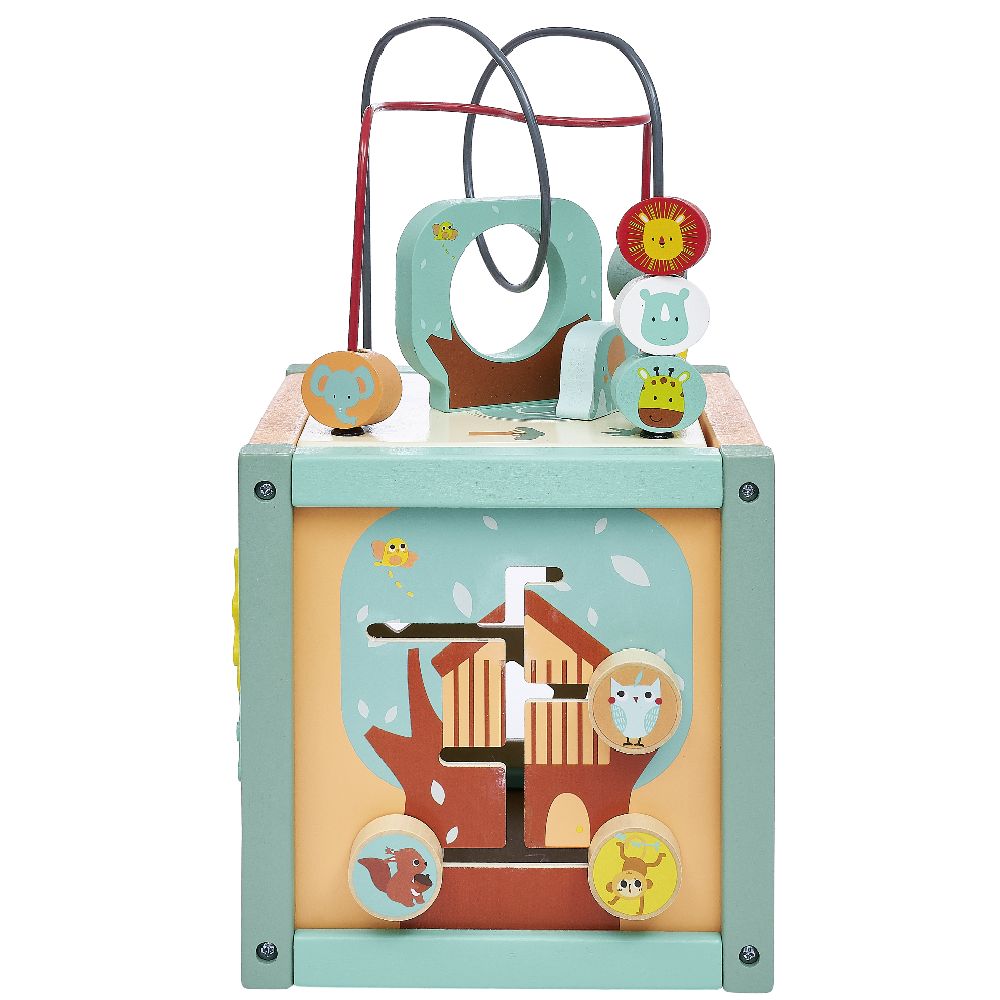 5-in-1 Wooden Activity Cube