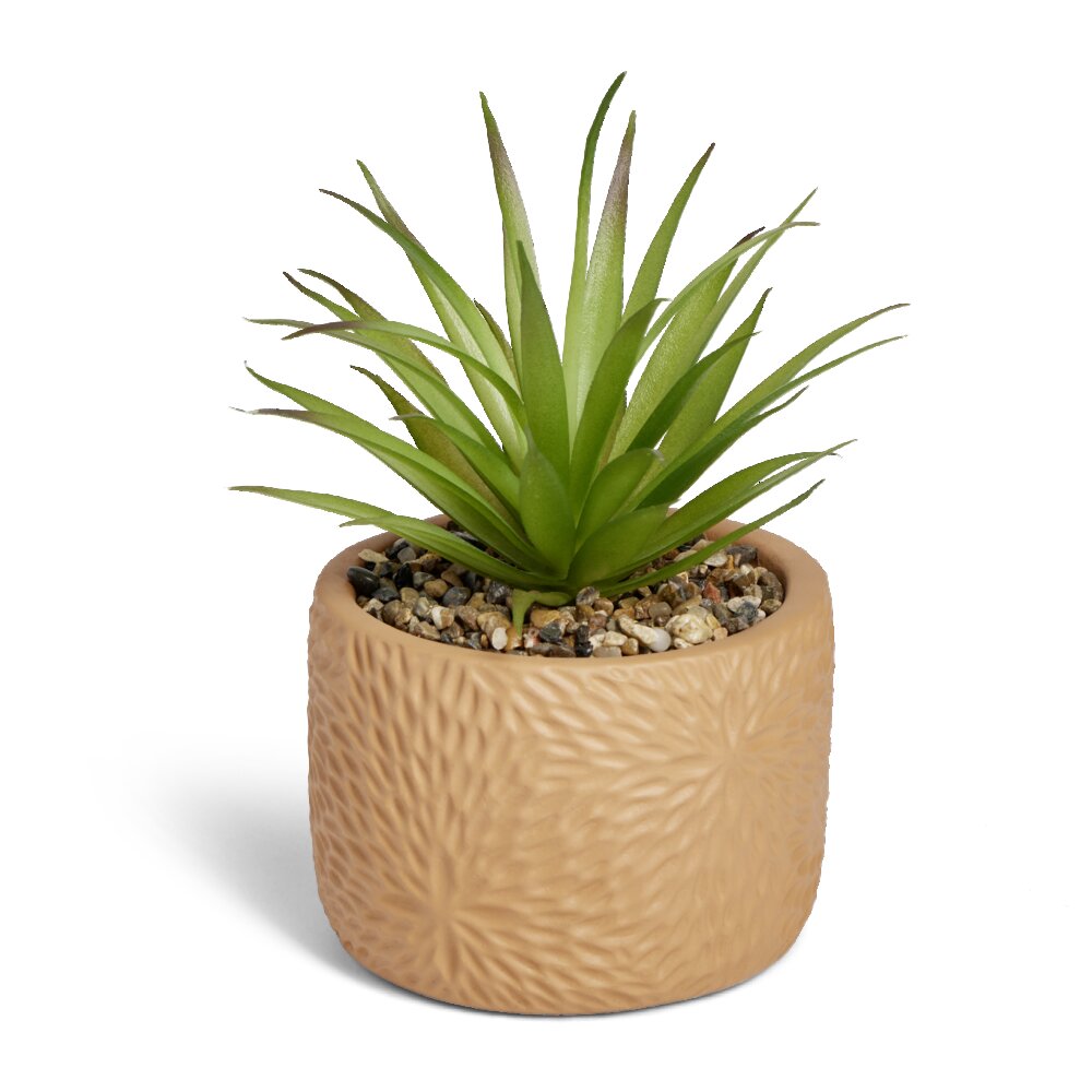 BIME ARTIFICIALE Ø10xH17cm