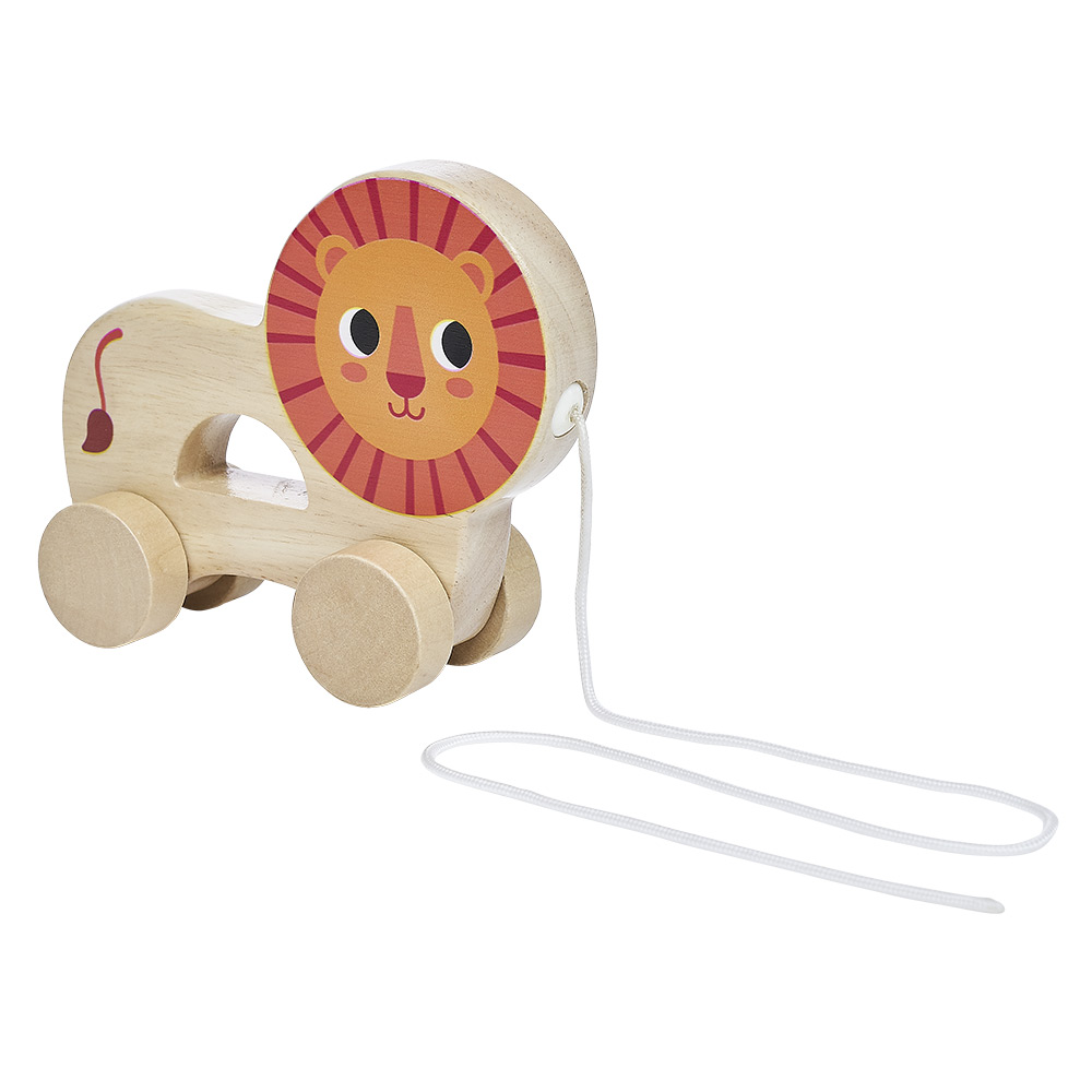 LUANI TËRHEQUR DRU 11.3X6X16